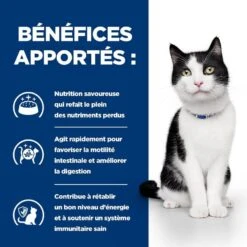 Hill's Prescription Diet Feline I/D AB+ Saumon SACHETS 12 X 85 Grs -Animaux Fourniture Magasin 00052742039893 4 prescription diet chat i d boite 1