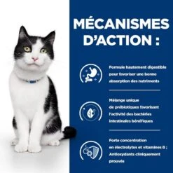 Hill's Prescription Diet Feline I/D AB+ Saumon SACHETS 12 X 85 Grs -Animaux Fourniture Magasin 00052742039893 5 prescription diet chat i d boite 1