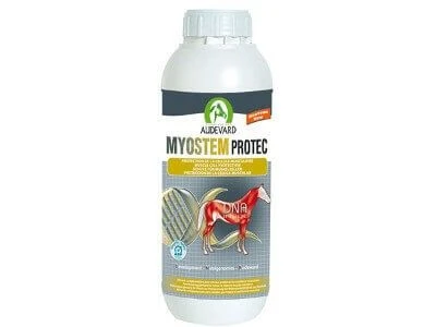 Audevard Myostem Protect 900 ml Audevard Myostem Protect 900 Ml -Animaux Fourniture Magasin 120613 125018 PEEL r5SHWu 12