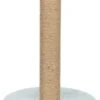 Trixie Poteau Griffoir Junior Pour Chaton 42 Cm