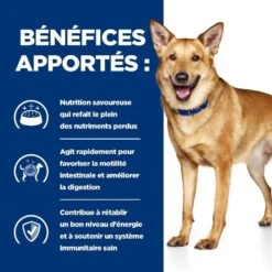 Hill's Prescription Diet Canine I/D AB+ Dinde 12 X 360 Grs -Animaux Fourniture Magasin 52742039336 4 prescription diet chien adulte id mijot s poulet