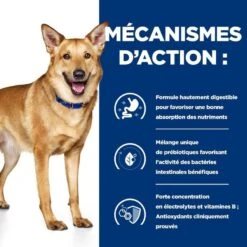 Hill's Prescription Diet Canine I/D AB+ Dinde 12 X 360 Grs -Animaux Fourniture Magasin 52742039336 5 prescription diet chien adulte id mijot s poulet