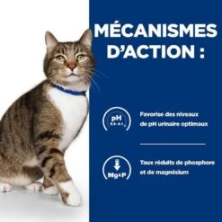 Hill's Prescription Diet Feline S/D Urinary 3 Kg 3 Hill's Prescription Diet Feline S/D Urinary 3 Kg -Animaux Fourniture Magasin 52742042473 4 prescription diet chat s d croquettes poulet 1 1