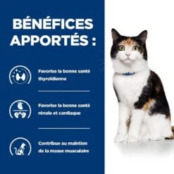 Hill's Prescription Diet Feline Y/D 3 Kg 2 Hill's Prescription Diet Feline Y/D 3 Kg -Animaux Fourniture Magasin 52742042503 4 prescription diet chat y d croquettes poulet 1 1