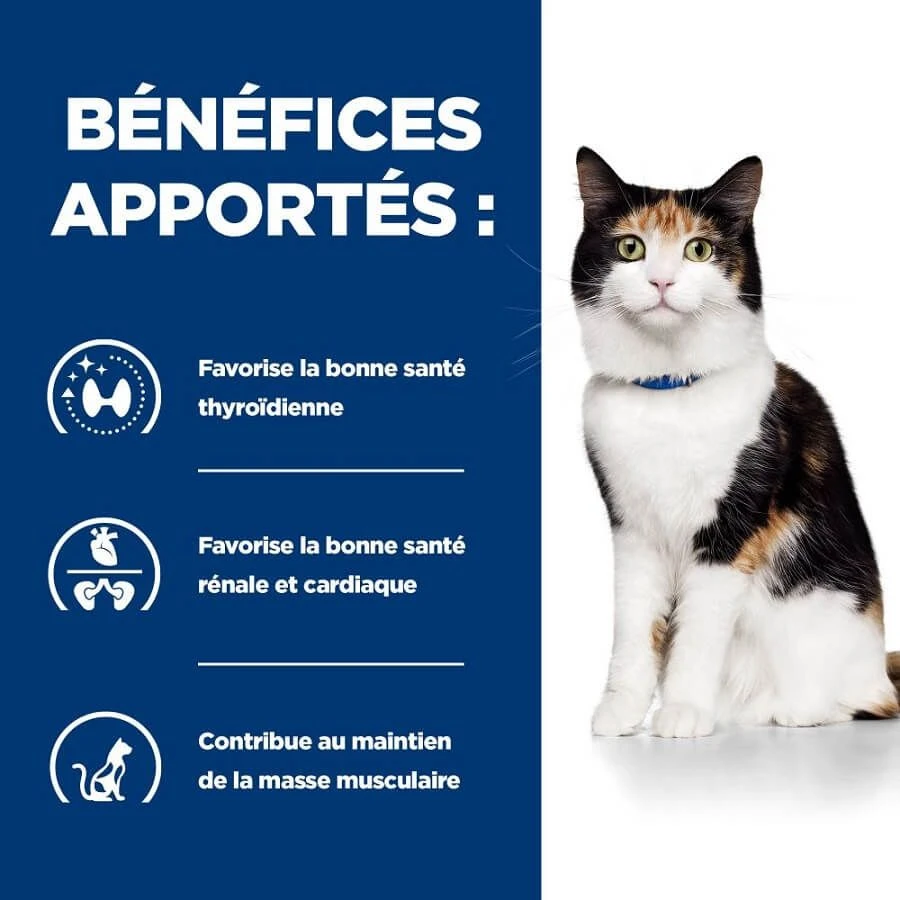 Hill's Prescription Diet Feline Y/D 3 kg Hill's Prescription Diet Feline Y/D 3 Kg -Animaux Fourniture Magasin 52742042503 4 prescription diet chat y d croquettes poulet 1 1