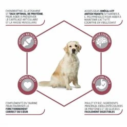 Advance Maxi Senior Chien 14 Kg -Animaux Fourniture Magasin advance maxi senior chien 14 la compagnie des animaux 1