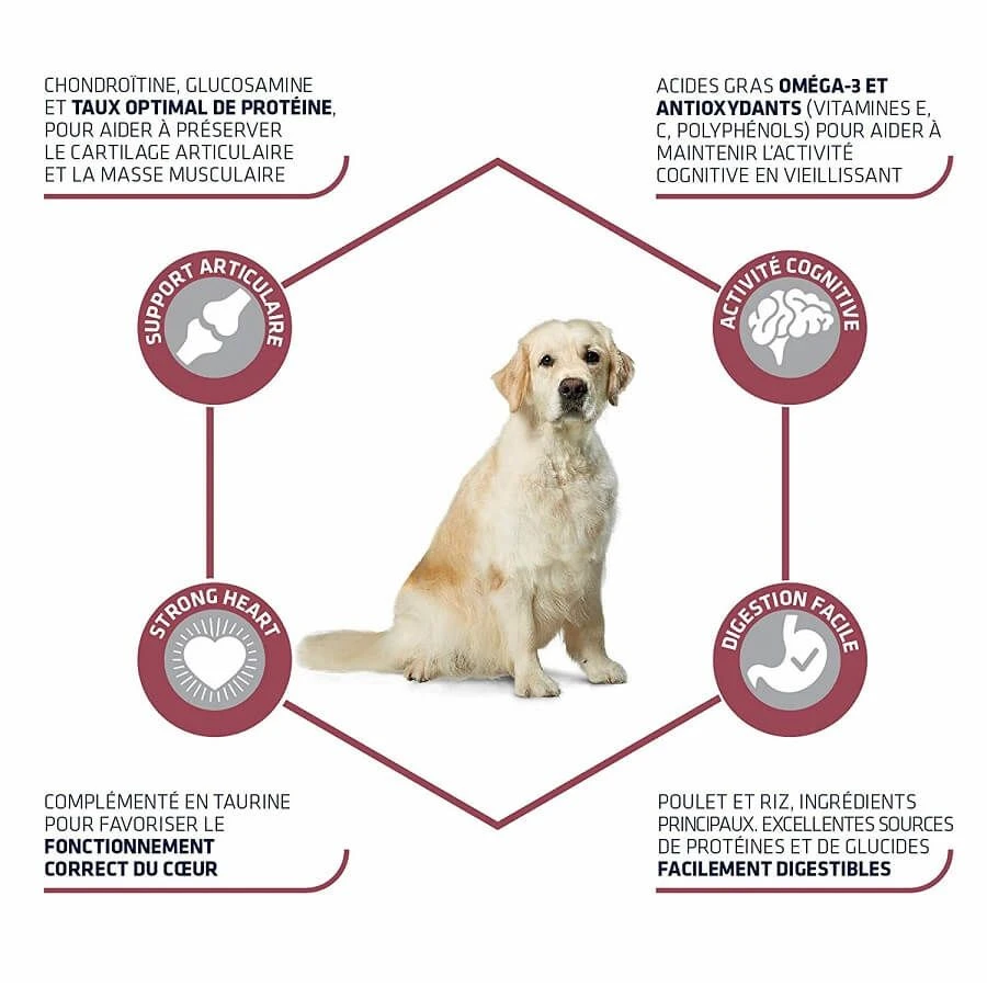 Advance Maxi Senior Chien 14 Kg -Animaux Fourniture Magasin advance maxi senior chien 14