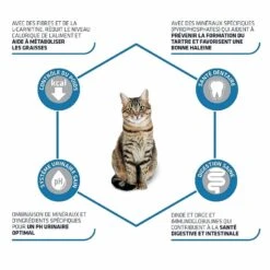 Advance Sterilized Chat à La Dinde 1,5 Kg -Animaux Fourniture Magasin advance sterilized chat la dinde 1 5 kg 3 2