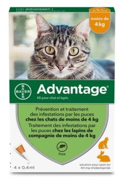 Advantage 40 Chat Et Lapin De 1 à 4 Kg Pipettes X4