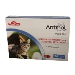 Antinol Pour Chat 30 Capsules