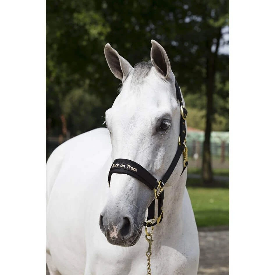 Back On Track Licol Werano Noir Full -Animaux Fourniture Magasin back on track licol werano noir