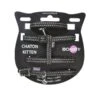 Bobby Collier + Harnais + Laisse Safe Noir Pour Chaton