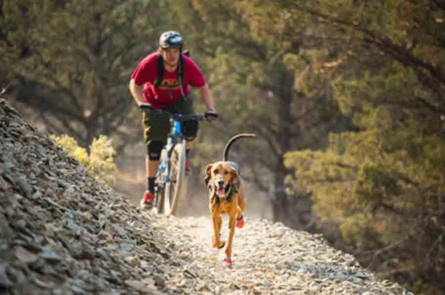 Ruffwear Bottines Grip Trex Rouge 51 mm - Destockage Ruffwear Bottines Grip Trex Rouge 51 Mm - Destockage -Animaux Fourniture Magasin bottines ruffwear grip trex rouge 51 mm2