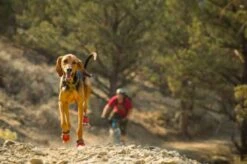 Ruffwear Bottines Grip Trex Rouge 51 Mm - Destockage 3 Ruffwear Bottines Grip Trex Rouge 51 Mm - Destockage -Animaux Fourniture Magasin bottines ruffwear grip trex rouge 51 mm4