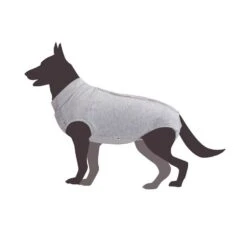 Camon Combinaison Chien Post Opératoire Gris 24 Cm