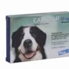 Capstar 57 Mg Pour Chien