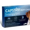 Capstar 11.4 Mg Petit Chien