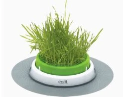 Cat It Jardin Herbe à Chat Senses