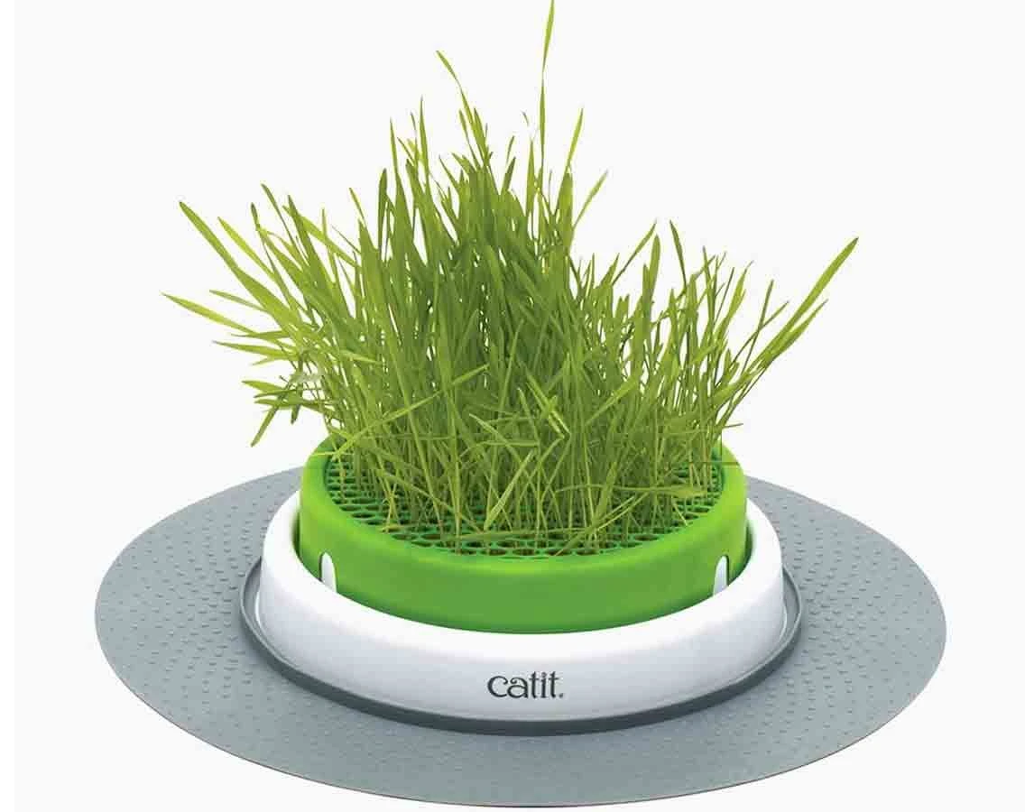 Cat It Jardin herbe à chat senses Cat It Jardin Herbe à Chat Senses -Animaux Fourniture Magasin cat it jardin herbe a chat senses