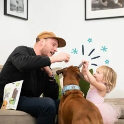 Edgard & Cooper Mach'sticks Fraise Et Menthe Grand Chien 240 G -Animaux Fourniture Magasin chien dental adulte naturel menthe fraise 240g 3 1