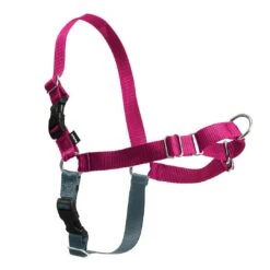 Easy Walk Harnais XL Framboise