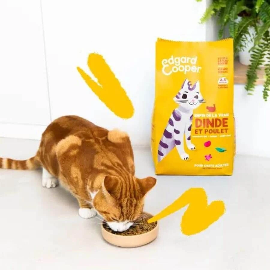Edgard & Cooper Dinde & Poulet Chat 2 kg Edgard & Cooper Dinde & Poulet Chat 2 Kg -Animaux Fourniture Magasin edgard cooper dinde poulet chat 2 kg 2