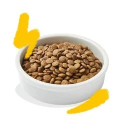 Edgard & Cooper Dinde & Poulet Chat 2 Kg 2 Edgard & Cooper Dinde & Poulet Chat 2 Kg -Animaux Fourniture Magasin edgard cooper dinde poulet chat 2 kg 3