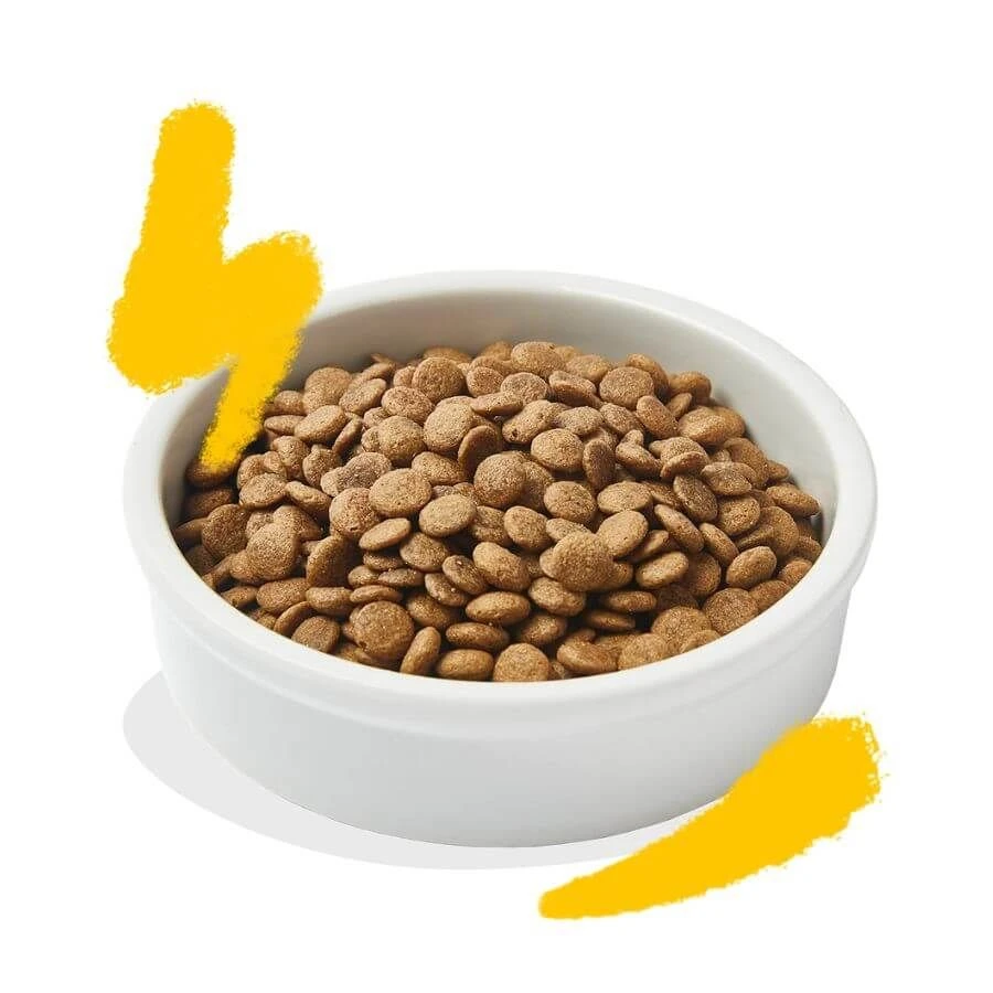 Edgard & Cooper Dinde & Poulet Chat 2 kg Edgard & Cooper Dinde & Poulet Chat 2 Kg -Animaux Fourniture Magasin edgard cooper dinde poulet chat 2 kg 3