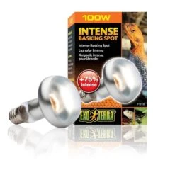 Exo Terra Lampe Intense à Vis Pour Terrarium 100 W -Animaux Fourniture Magasin exo terra lampe intense vis pour terrarium 100 w 2