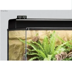Exo Terra Thermomètre Digital Pour Terrarium 3 Exo Terra Thermomètre Digital Pour Terrarium -Animaux Fourniture Magasin exo terra thermom tre digital pour terrarium