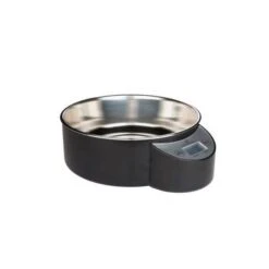 Gamelle Eyenimal Intelligent Pet Bowl Noire XL -Animaux Fourniture Magasin gamelle eyenimal intelligent pet bowl noire xl 1