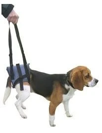 Harnais Handy Canis Pattes Arrières S