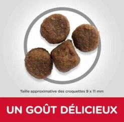 Hill's Science Plan Hill's Science Plan Canine Puppy Medium Agneau & Riz 18 Kg -Animaux Fourniture Magasin hill s science plan canine puppy agneau riz 18 kg4