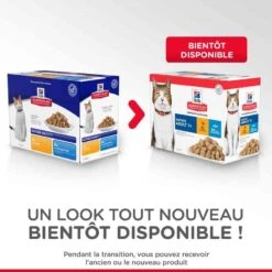 Hill's Science Plan Hill's Science Plan Feline Mature Adult 7+ Pack Mixte Sachets 12 X 85 Grs 4 Hill's Science Plan Hill's Science Plan Feline Mature Adult 7+ Pack Mixte Sachets 12 X 85 Grs -Animaux Fourniture Magasin hill s science plan feline mature adult 7 pack mixte sachets 12 x 85 grs 1