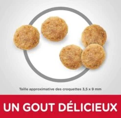 Hill's Science Plan Hill's Science Plan Feline Mature Adult 7+ Poulet 1,5 Kg -Animaux Fourniture Magasin hill s science plan feline mature adult 7 poulet 1 5 kg3