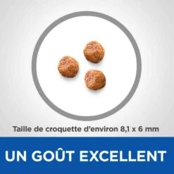 Hill's Science Plan VetEssentials Puppy Growth Small & Mini Poulet 2 Kg -Animaux Fourniture Magasin hill s vetessentials puppy mini 2 kg2