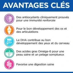 Hill's Science Plan VetEssentials Puppy Growth Small & Mini Poulet 2 Kg -Animaux Fourniture Magasin hill s vetessentials puppy mini 2 kg3