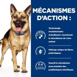 Hill's Prescription Diet Canine Gastrointestinal Biome 4 Kg 2 Hill's Prescription Diet Canine Gastrointestinal Biome 4 Kg -Animaux Fourniture Magasin hill s prescription diet canine gastrointestinal biome 4 kg3 1