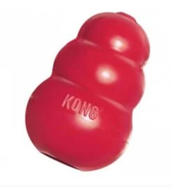 KONG Spécial Rongeurs -Animaux Fourniture Magasin kong 1