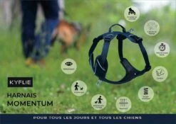 Kyflie Harnais Momentum Noir XS -Animaux Fourniture Magasin kyflie harnais momentum la compagnie des animaux 20