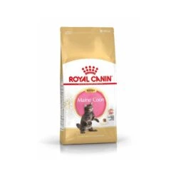 Royal Canin Maine Coon Kitten 2 Kg