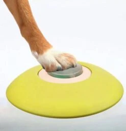 Trixie Dog Activity Memory Trainer 2.0 Chien -Animaux Fourniture Magasin memory trainer.05