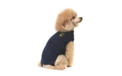 Medical Pet Shirt Chien XXS