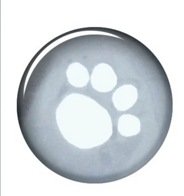 Trixie Imperméable Tarbes pour chien XS - Destockage Trixie Imperméable Tarbes Pour Chien XS - Destockage -Animaux Fourniture Magasin pattes