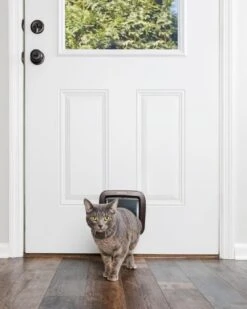 Pet Safe Chatière Porte 4 Positions Luxe Brun 5 Pet Safe Chatière Porte 4 Positions Luxe Brun -Animaux Fourniture Magasin pet safe chati re porte 4 positions luxe brun6