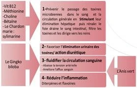 Horse Master Protect Fourbure 500 ml Horse Master Protect Fourbure 500 Ml -Animaux Fourniture Magasin protect fourbureppte