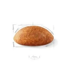 Royal Canin Dogue Allemand Adult 12 Kg 2 Royal Canin Dogue Allemand Adult 12 Kg -Animaux Fourniture Magasin royal canin dogue allemand adult 12 kg3