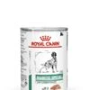 Royal Canin Vet Chien Diabetic Special 12 X 410 G