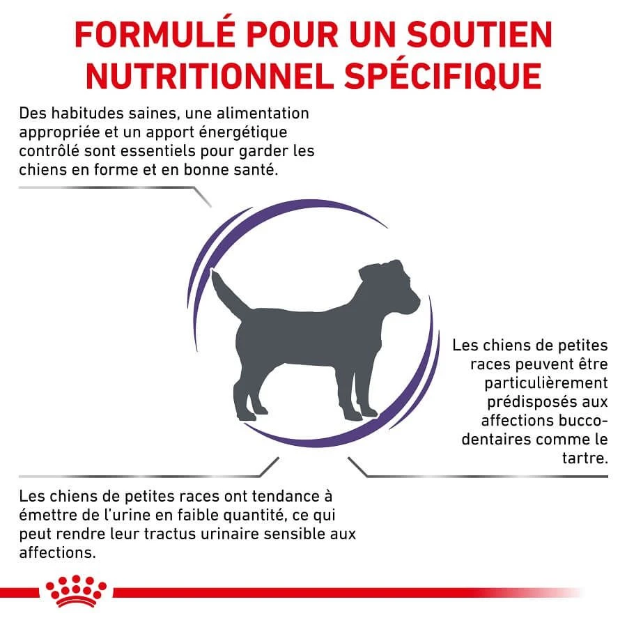 Royal Canin Veterinary Small Dog Adult 2 kg Royal Canin Veterinary Small Dog Adult 2 Kg -Animaux Fourniture Magasin royal canin veterinary small dog adult 2 kg 2