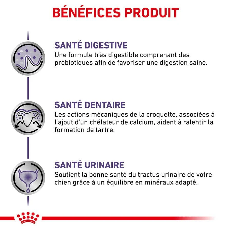 Royal Canin Veterinary Small Dog Adult 2 kg Royal Canin Veterinary Small Dog Adult 2 Kg -Animaux Fourniture Magasin royal canin veterinary small dog adult 2 kg 4